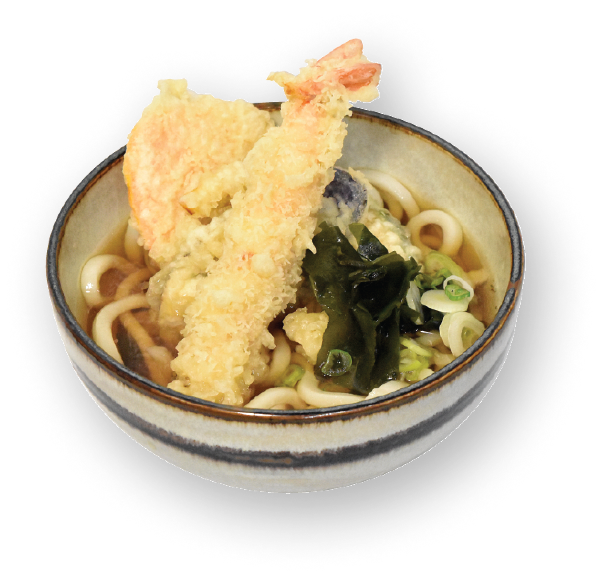 うどん様 J-Basket 冷凍 讃岐風 うどん 5食入り 44.2 オンス - Weee!